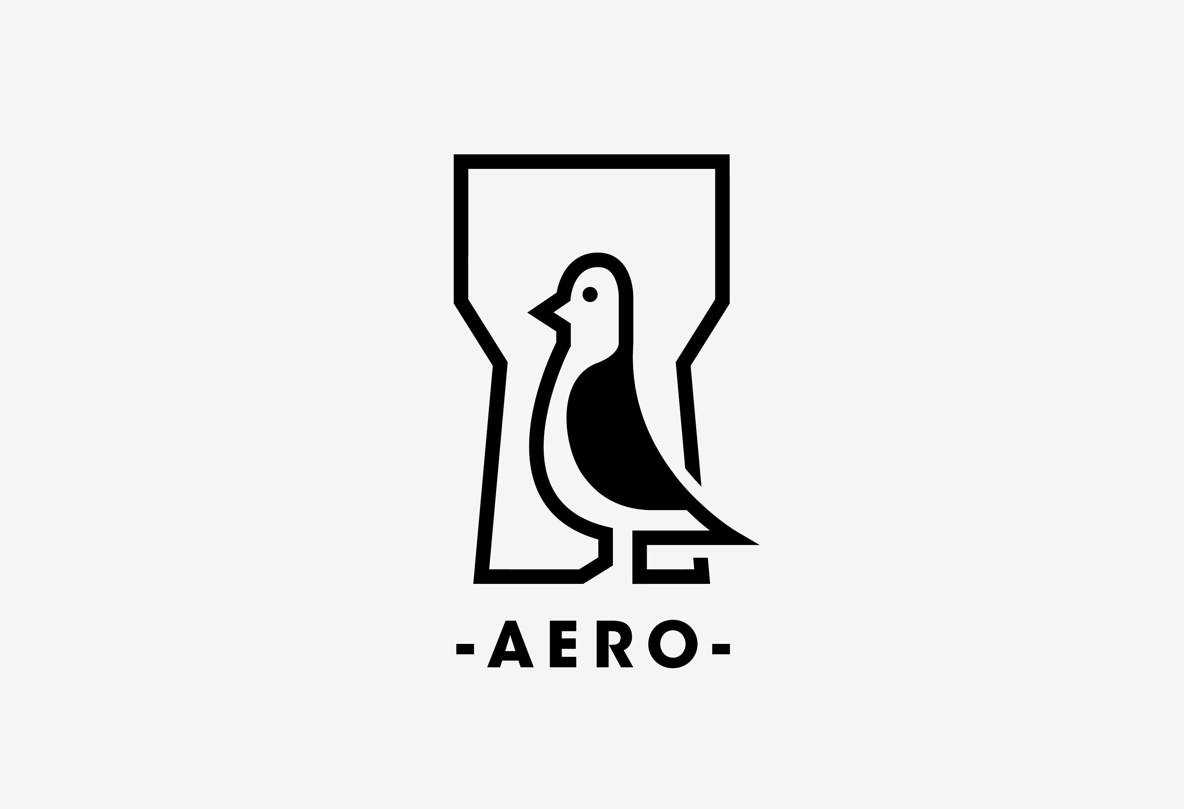 Elliott Amblard projet Aero